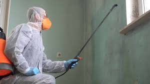 Best Mold Remediation for Rental Properties  in Aliquip, PA